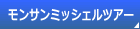 T~bVFcA[