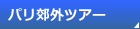 p瑼̓ss